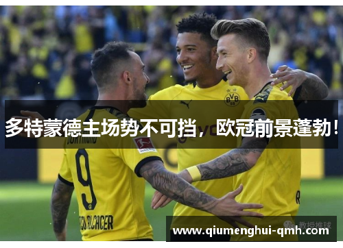 多特蒙德主场势不可挡，欧冠前景蓬勃！