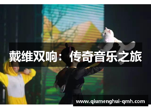 戴维双响:传奇音乐之旅 戴维双响:传奇音乐之旅